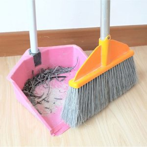 Broom and dust pan