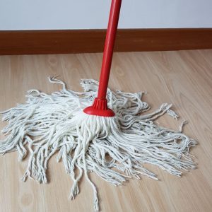 Mop