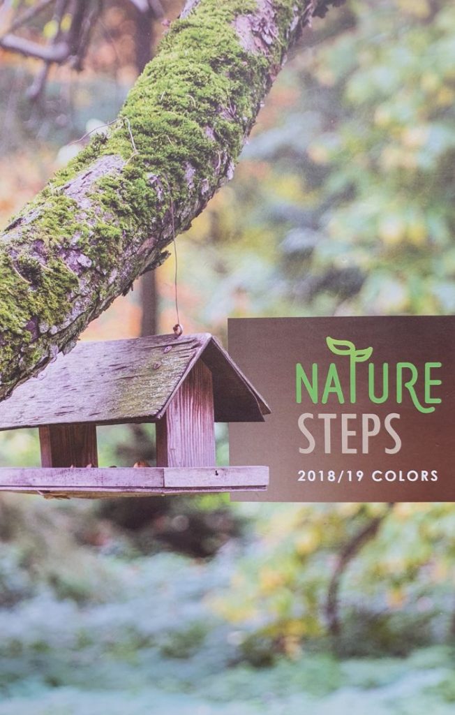 Nature Steps Cover